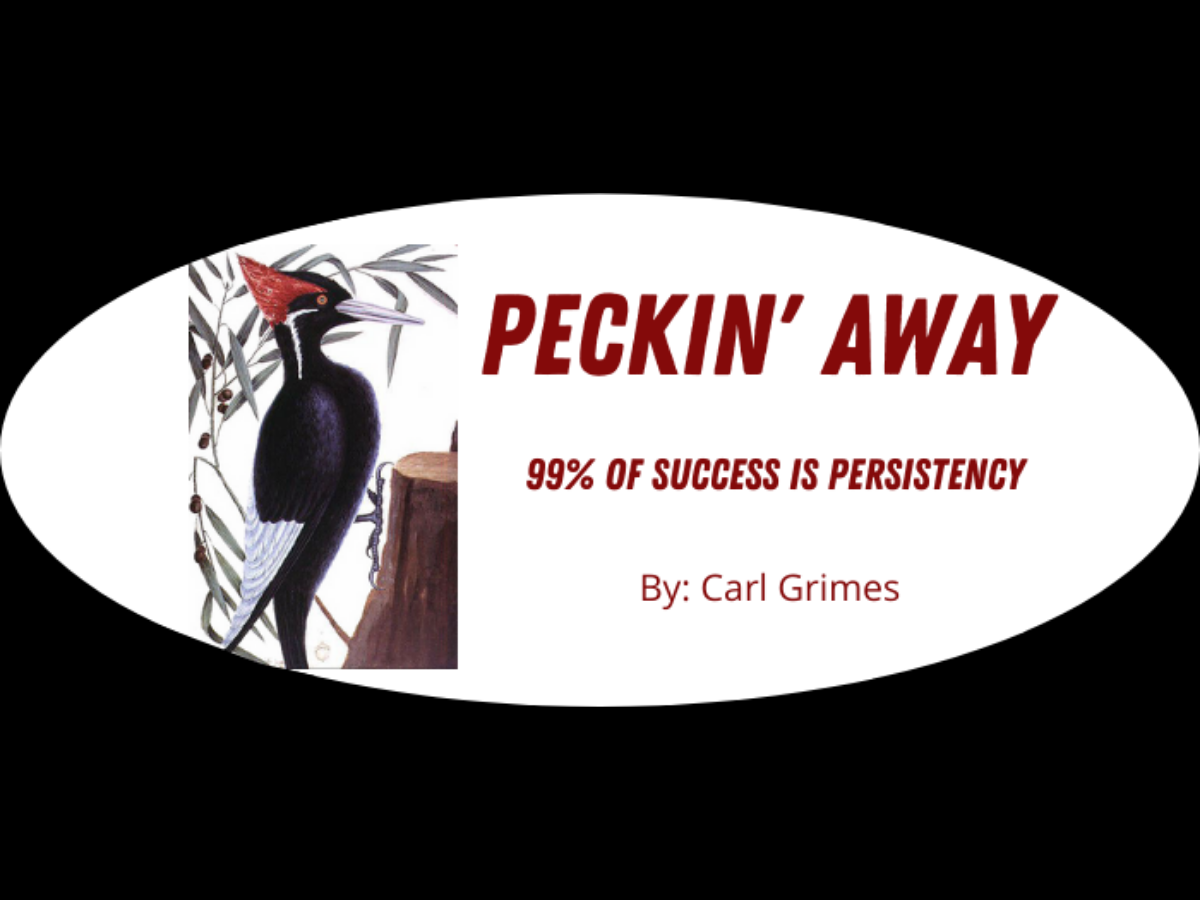 Read more about the article Peckin’ Away December 2021