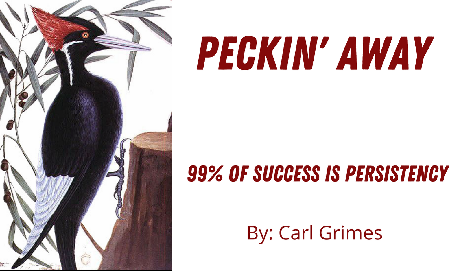 Read more about the article Peckin’ Away 