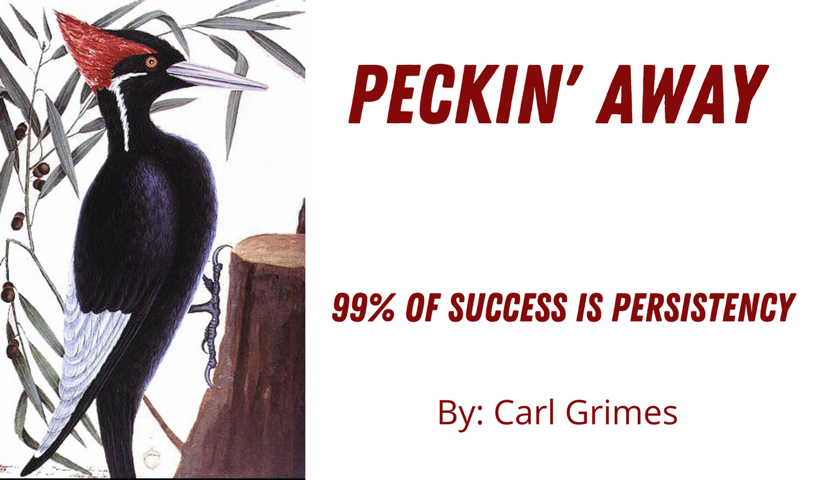 Read more about the article Peckin’ Away